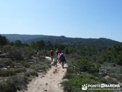 Cuerda de Cuelgamuros - Senderismo Ávila - Ruta Madrid; zona norte